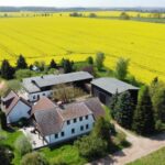 ein bett im kornfeld