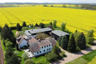 ein bett im kornfeld