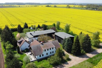ein bett im kornfeld