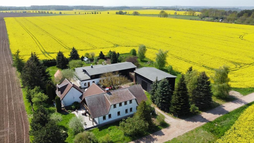 ein bett im kornfeld